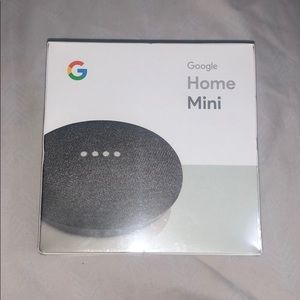 COPY - Google home mini
